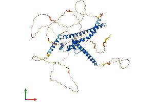 Protein Structure (PS) image for Melanophilin (MLPH) (AA 1-590) protein (His tag) (ABIN7559972)