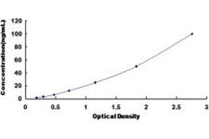 Typical standard curve (GSTa2 ELISA Kit)