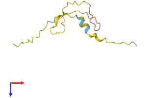 FAM229B Protein (AA 1-80) (Fc Tag)