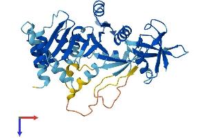 DRG2 Protein (AA 1-364) (His tag)