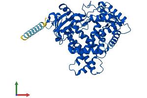 AlphaFold protein structure predicition of Mouse Recombinant Cyp2a4 Protein, UniprotID P15392
