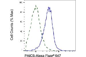 Validation of PAICS knockdown using flow cytometry. (PAICS Antikörper)