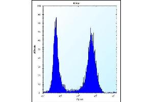 ND3 Antibody (N-term) (ABIN656244 and ABIN2845561) flow cytometric analysis of K562 cells (right histogram) compared to a negative control cell (left histogram). (MT-ND3 Antikörper  (N-Term))