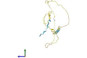 Protein Structure (PS) image for Nuclear Casein Kinase and Cyclin-Dependent Kinase Substrate 1 (NUCKS1) (AA 1-234) protein (His tag) (ABIN7558427)