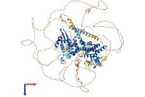 RC3H1 Protein (AA 1-1133) (His tag)