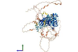Protein Structure (PS) image for Synapse Defective 1, rho GTPase, Homolog 1 (SYDE1) (AA 1-735) protein (His tag) (ABIN7544046)