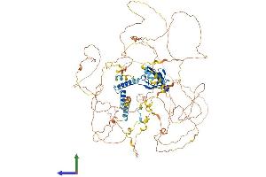 Protein Structure (PS) image for Synaptopodin 2-Like (SYNPO2L) (AA 1-977) protein (His tag) (ABIN7555683)