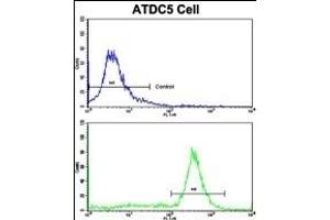 Flow Cytometry (FACS) image for anti-Prohibitin (PHB) (AA 92-121), (N-Term) antibody (ABIN389160)