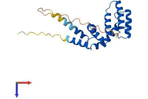 RGS16 Protein (AA 1-201) (His tag)