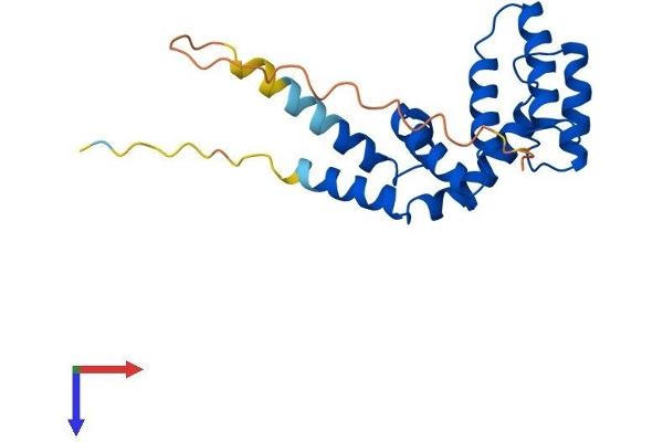 RGS16 Protein (AA 1-201) (His tag)