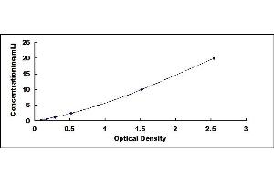 Typical standard curve (TP53BP1 ELISA Kit)