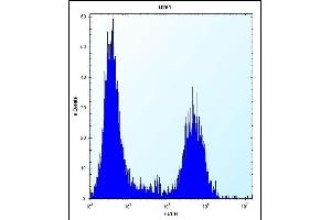 T Antibody (N-term) (ABIN656684 and ABIN2845922) flow cytometric analysis of  cells (right histogram) compared to a negative control cell (left histogram). (Tropomyosin 4 Antikörper  (N-Term))