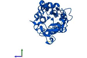 Protein Structure (PS) image for Haloacid Dehalogenase-Like Hydrolase Domain Containing 1 (HDHD1) (AA 1-228) protein (His tag) (ABIN7548271)