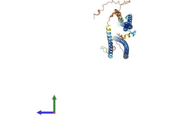 RILPL1 Protein (AA 1-406) (His tag)