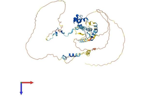 MIER1 Protein (AA 1-512) (His tag)