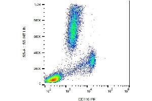 Surface staining (flow cytometry) of human peripheral blood with anti-CD116 (4H1) PE. (CSF2RA Antikörper  (PE))