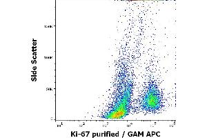 Flow cytometry intracellular staining pattern of human PHA stimulated peripheral whole blood stained using anti-human Ki-67 (Ki-67) purified antibody (concentration in sample 0.