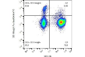 Flow cytometry surface staining pattern of human peripheral blood stained using anti-human CD158a/g/h (HP-MA4) purified antibody DAR APC. (CD158a/g/h Antikörper)