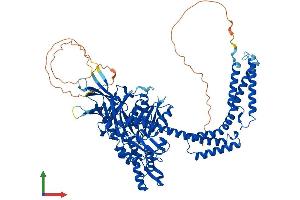 Protein Structure (PS) image for Heat Shock 70kDa Protein 4-Like (HSPA4L) (AA 1-838) protein (His tag) (ABIN7563321)