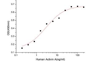 Activity Assay (AcA) image for Activin A (ACVA) (AA 21-426) (Active) protein (His tag) (ABIN7607282)