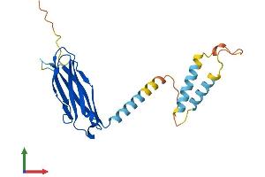 Protein Structure (PS) image for Motile Sperm Domain Containing 1 (MOSPD1) (AA 1-213) protein (His tag) (ABIN7549483)