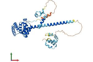Protein Structure (PS) image for Suppression of Tumorigenicity 13 (ST13) (AA 1-371) protein (His tag) (ABIN7560352)
