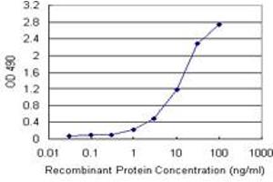 Sandwich ELISA detection sensitivity ranging from 1 ng/mL to 100 ng/mL. (SMAD3 (Human) Matched Antibody Pair)