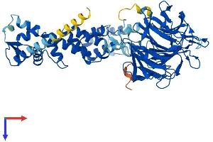 KLHL7 Protein (AA 1-586) (His tag)