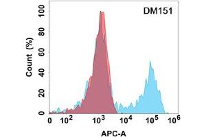 Flow cytometry analysis with Anti-TACI (DM151) on Expi293 cells transfected with human TACI (Blue histogram) or Expi293 transfected with irrelevant protein (Red histogram). (TACI Antikörper  (AA 2-166))
