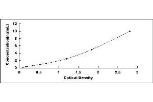 Typical standard curve (CRYAB ELISA Kit)