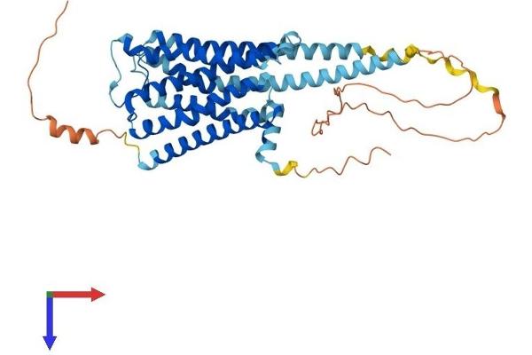 HRH3 Protein (AA 1-445) (His tag)
