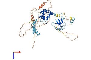 FBXO5 Protein (AA 1-421) (His tag)