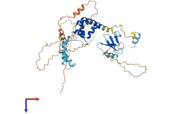 FBXO5 Protein (AA 1-421) (His tag)