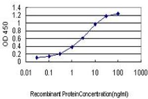 Detection limit for recombinant GST tagged PTK2 is approximately 0. (FAK Antikörper  (AA 355-490))