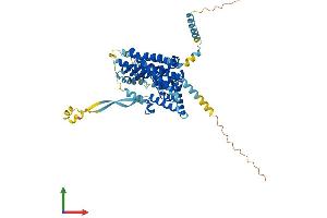 Protein Structure (PS) image for Solute Carrier Family 1 (Glial High Affinity Glutamate Transporter), Member 3 (SLC1A3) (AA 1-542) protein (His tag) (ABIN7547219)