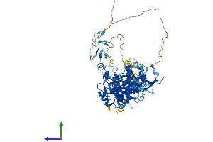 Protein Structure (PS) image for LIM Domain Kinase 2 (LIMK2) (AA 1-638) protein (His tag) (ABIN7549087)