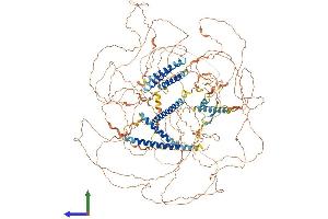 Protein Structure (PS) image for AT-Hook Transcription Factor (AKNA) (AA 1-1439) protein (His tag) (ABIN7552138)