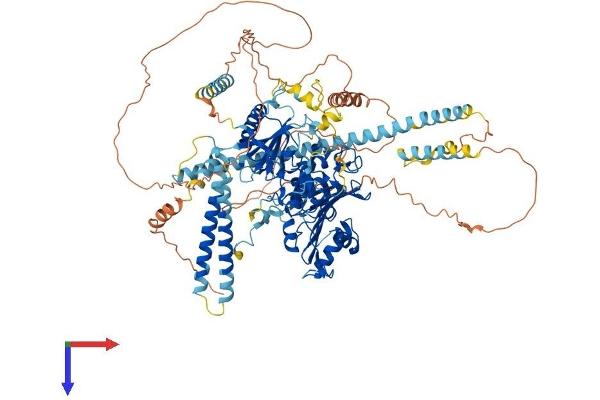 MORC1 Protein (AA 1-984) (His tag)