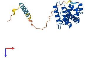 RGS5 Protein (AA 1-181) (His tag)