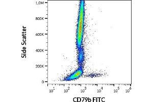 Flow cytometry surface staining pattern of human peripheral whole blood stained using anti-human CD79b (CB3-1) FITC antibody (4 μL reagent / 100 μL of peripheral whole blood). (CD79b Antikörper  (FITC))