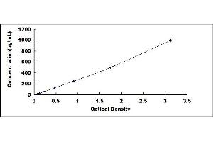 Typical standard curve