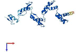 ZNF664 Protein (AA 1-261) (His tag)