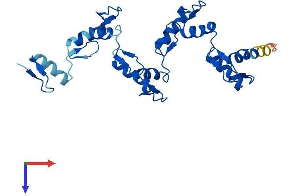 ZNF664 Protein (AA 1-261) (His tag)