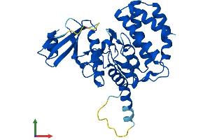 Protein Structure (PS) image for Fructosamine 3 Kinase (FN3K) (AA 1-309) protein (His tag) (ABIN7561417)