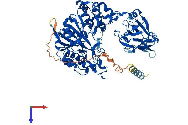 GALNT10 Protein (AA 1-603) (His tag)