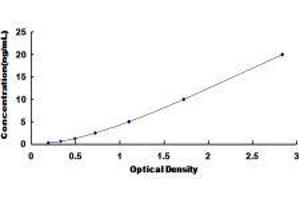 ELISA image for Septin 3 (SEPT3) ELISA Kit (ABIN421467)