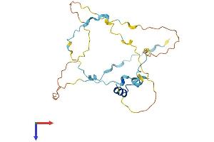 RHNO1 Protein (AA 1-238) (His tag)