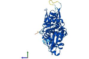 Protein Structure (PS) image for Actin, gamma 1 (ACTG1) (AA 1-375) protein (His tag) (ABIN7551976)