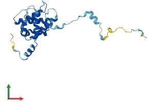 AlphaFold protein structure predicition of Human Recombinant TAGLN3 Protein, UniprotID Q9UI15