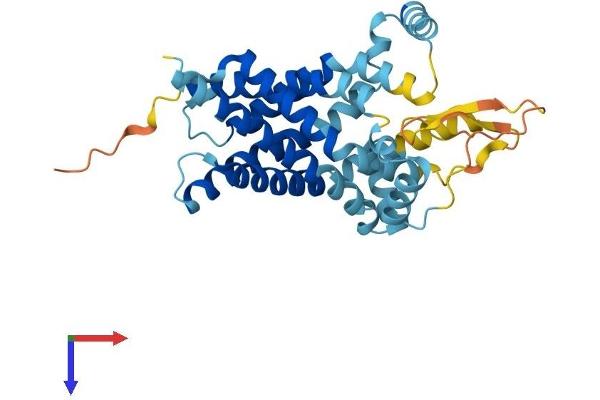 SLC25A40 Protein (AA 1-337) (His tag)
